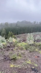 The world is big and i am small that s a quote out of one of my part 2