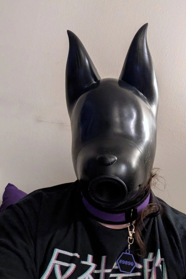 Got my feturax silicone velvet dog drone hood today this isn t really part 3 