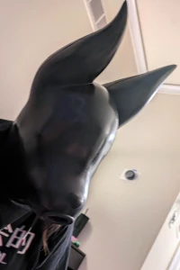 Got my feturax silicone velvet dog drone hood today this isn t really part 1