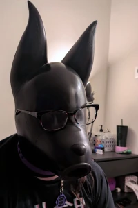 Got my feturax silicone velvet dog drone hood today this isn t really part 4