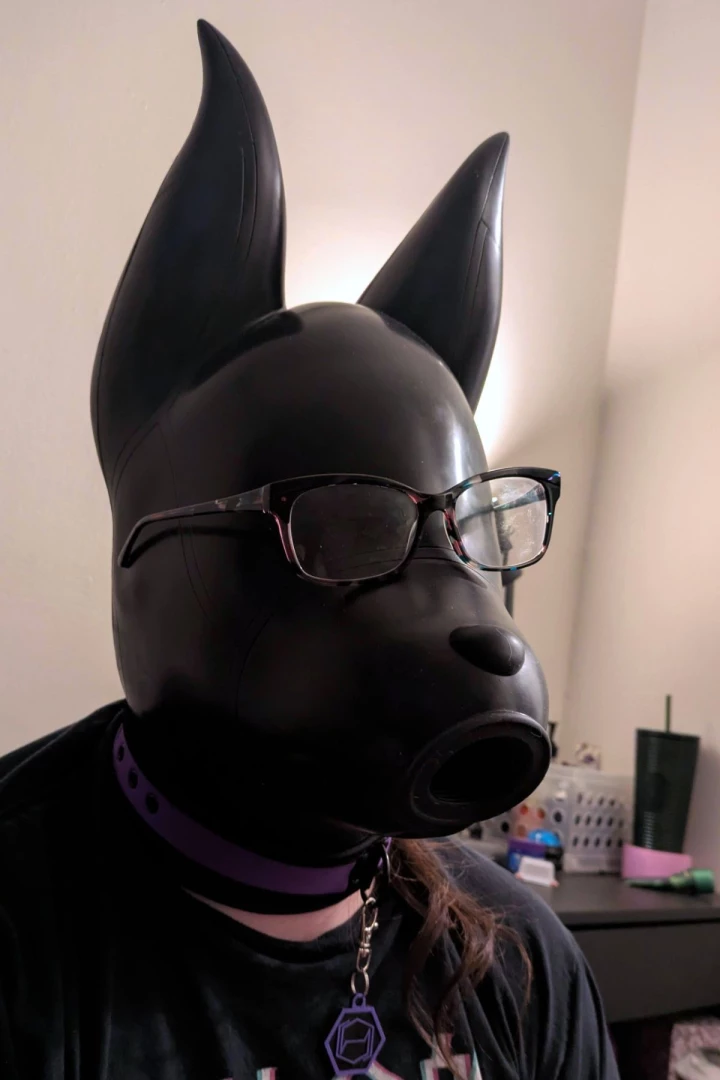 Got my feturax silicone velvet dog drone hood today this isn t really 