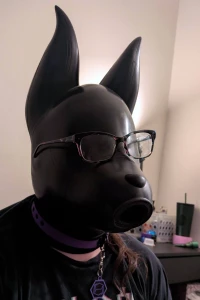 Got my feturax silicone velvet dog drone hood today this isn t really