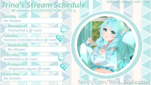 I ve decided i am going to try and stream this week i have been doing