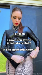 Funny facts for your day tiktok funny dom femdom free fyp foryou