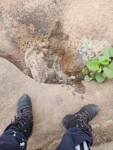Even my pee is art pee peekink watersports peefetish pisskink piss wet