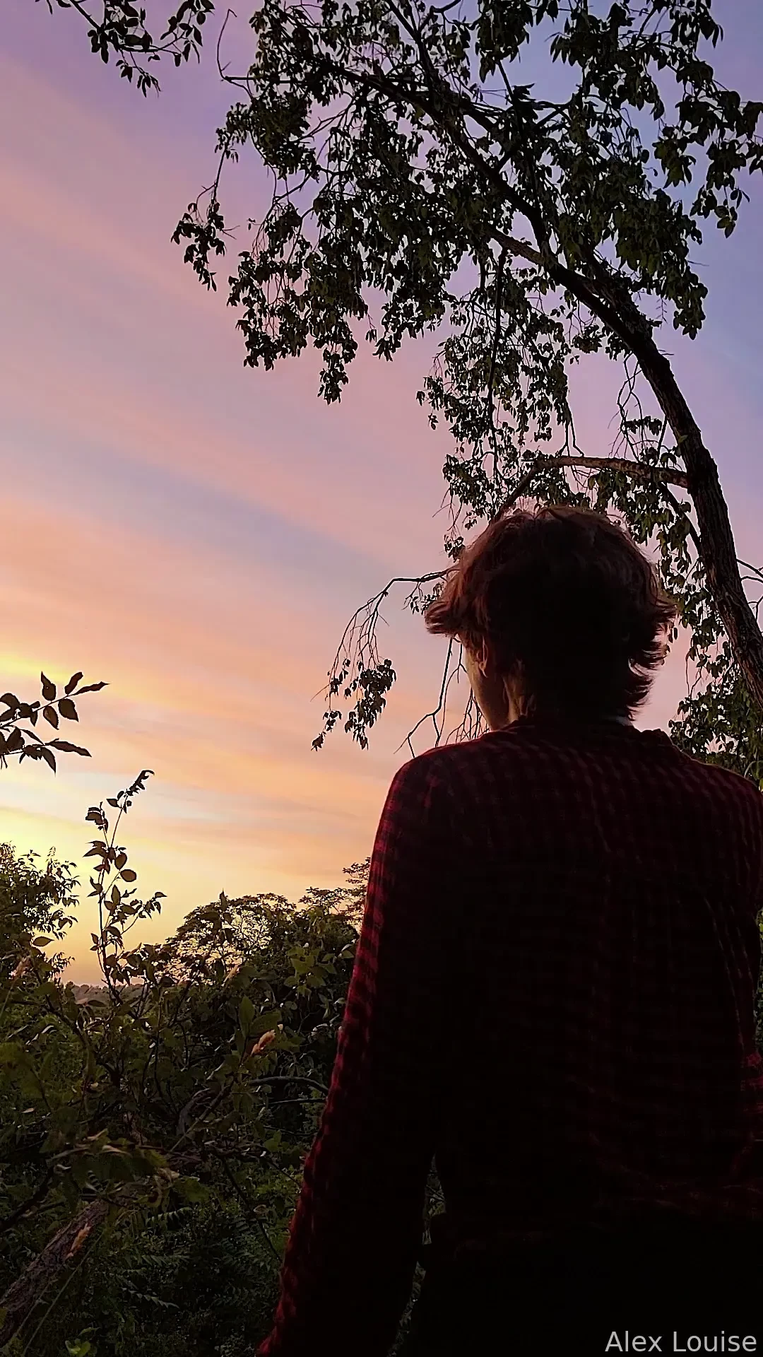 I made a spider friend to watch the sunset with i showed him my 