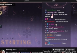 Lotussy is live on seiso-ish site https twitch tv howlinglotusvt