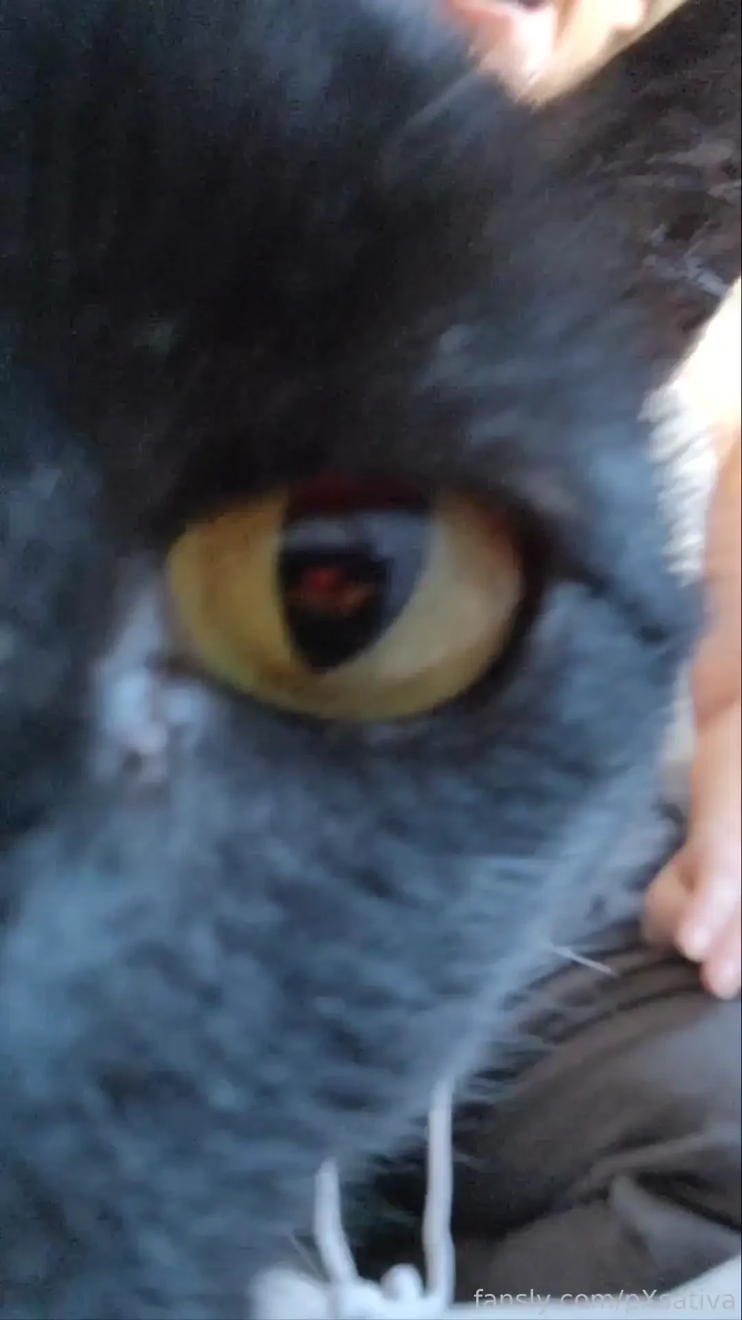 Morniiiing happy titty tuesday babes here s a lil titty tease for you 