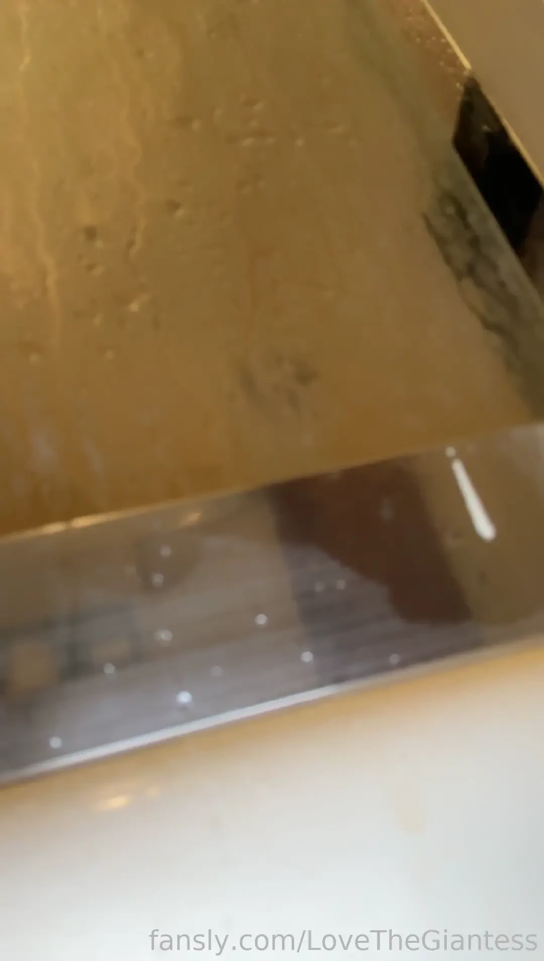 Tiny sneakily makes his way to the shower and somehow slides it open 