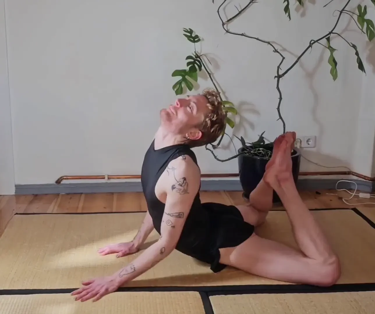 If i would do this again but naked would you come back and watch 