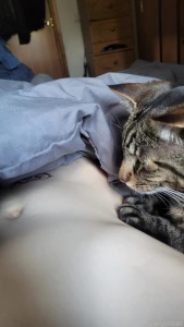 She wants under the blankets so bad -