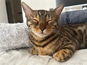 That s who i spent my whole weekend with lifestyle egirl legalteen part 1