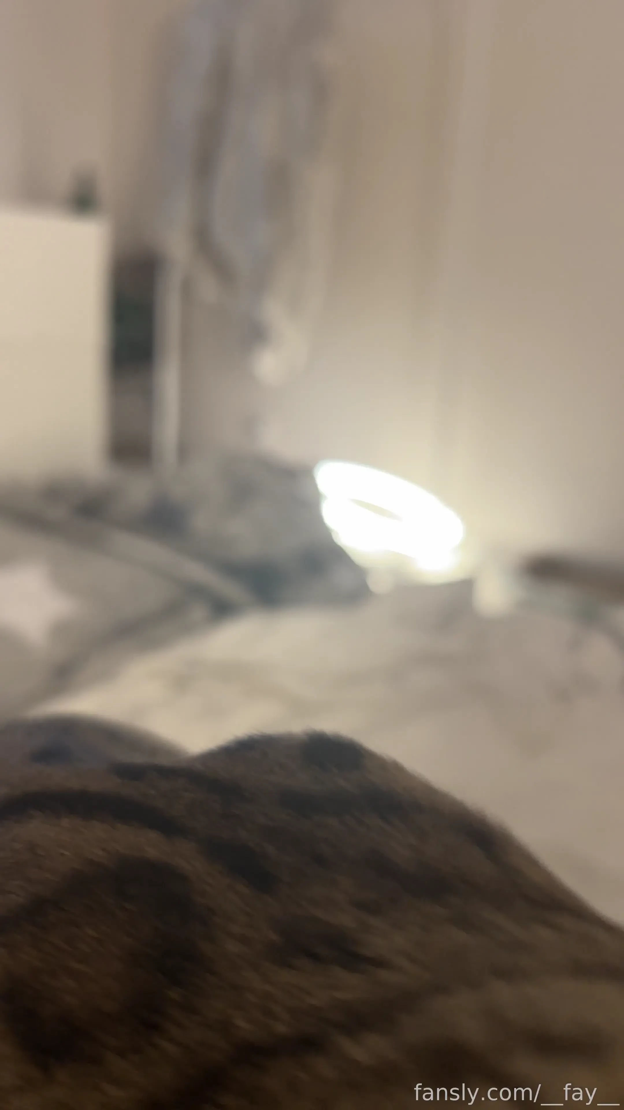 Oh no my cat has taken over my wall now he runs this page hey don t 