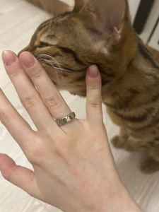 All smiles getting kitty love from minty this little shadow always