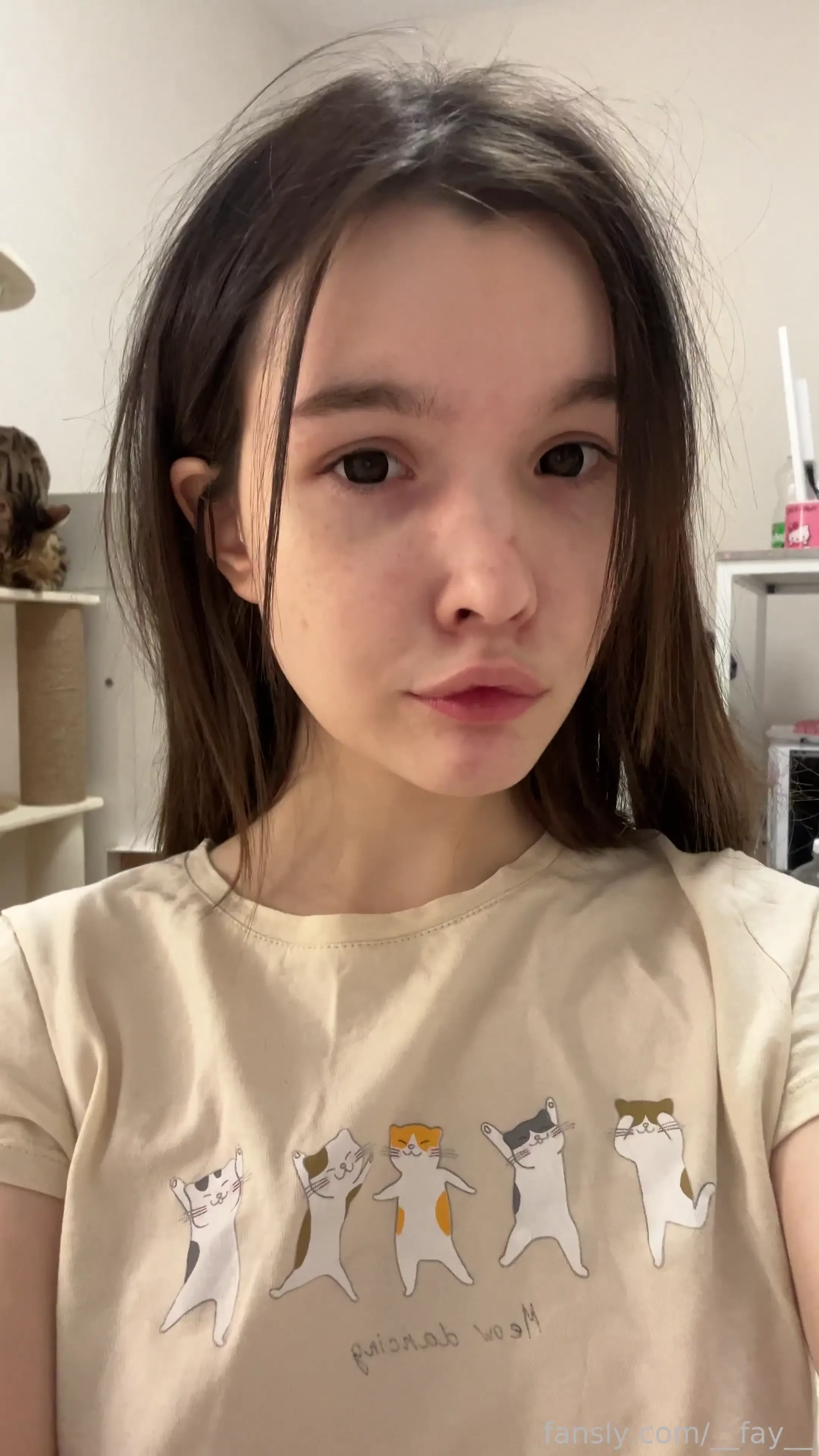 Btw i really love cats will you find my pussy in the video hey what 