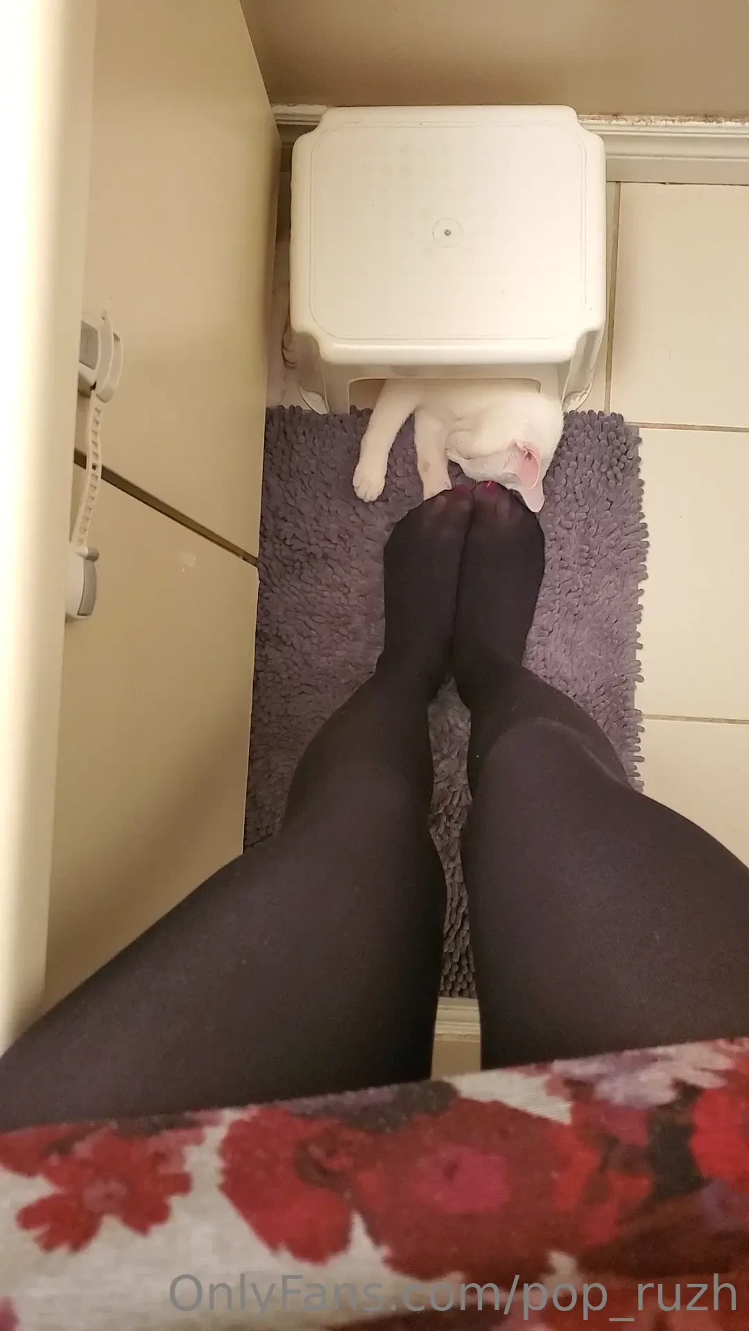 I know you want to be this kitten playing with my toes sucking and part 1 