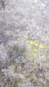 Duo media i met a hiker then it ended with a little walk in the forest