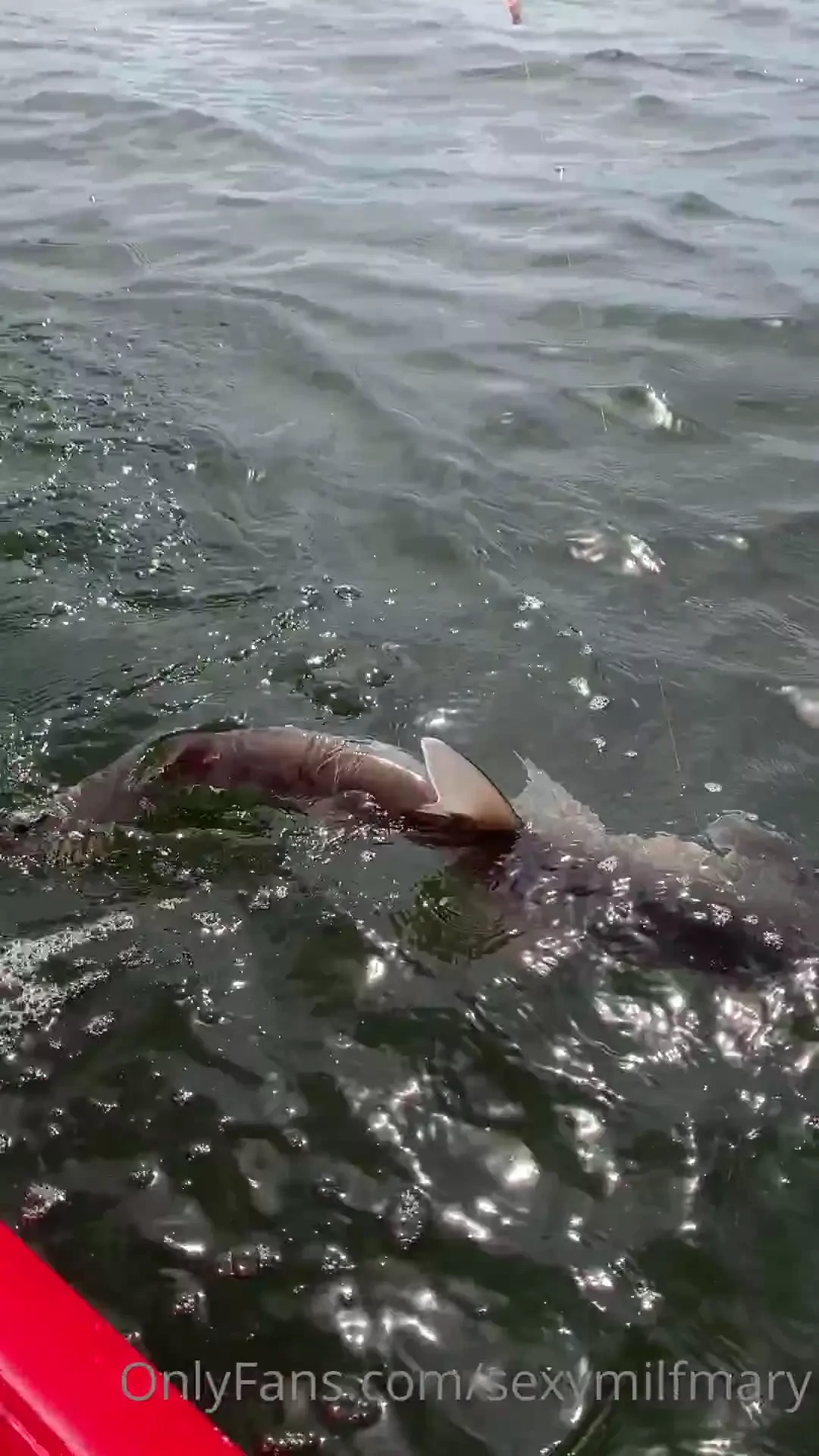 Caught a bunch of pussy fish 