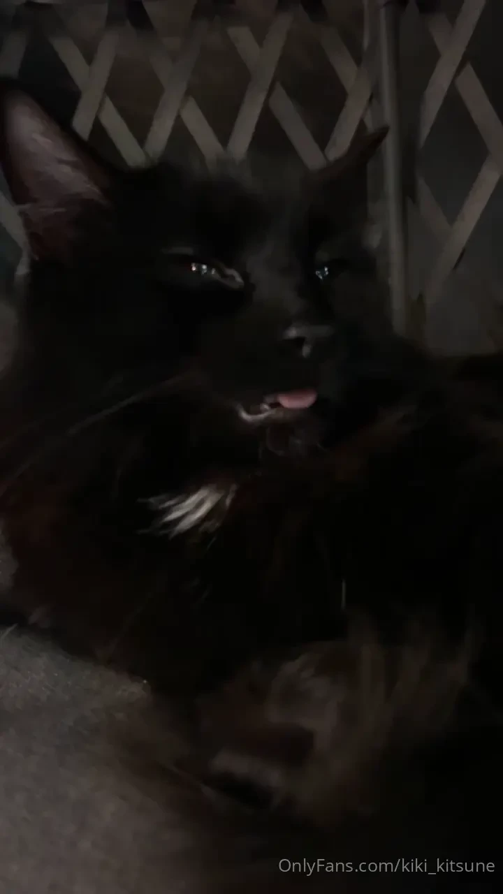 I hate being delayed on customs but here we are my sweet kitty woke me 