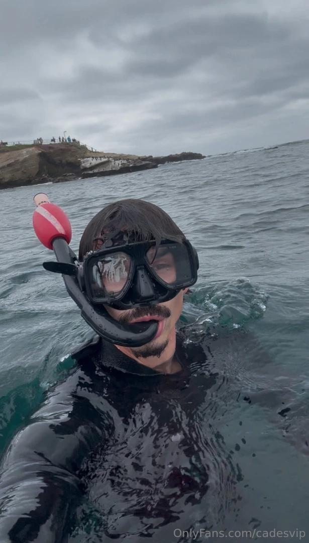 Have you done something wild today 