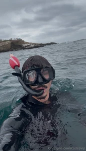 Have you done something wild today