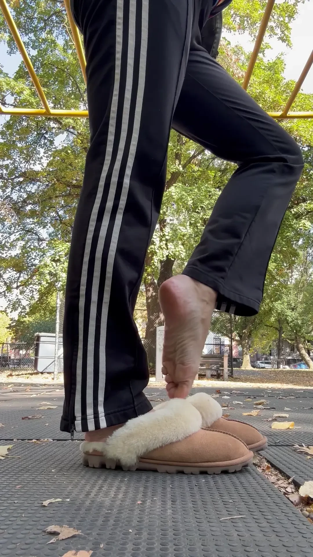 Fresh from my furry slippers tip if u get hard picturing the scent 