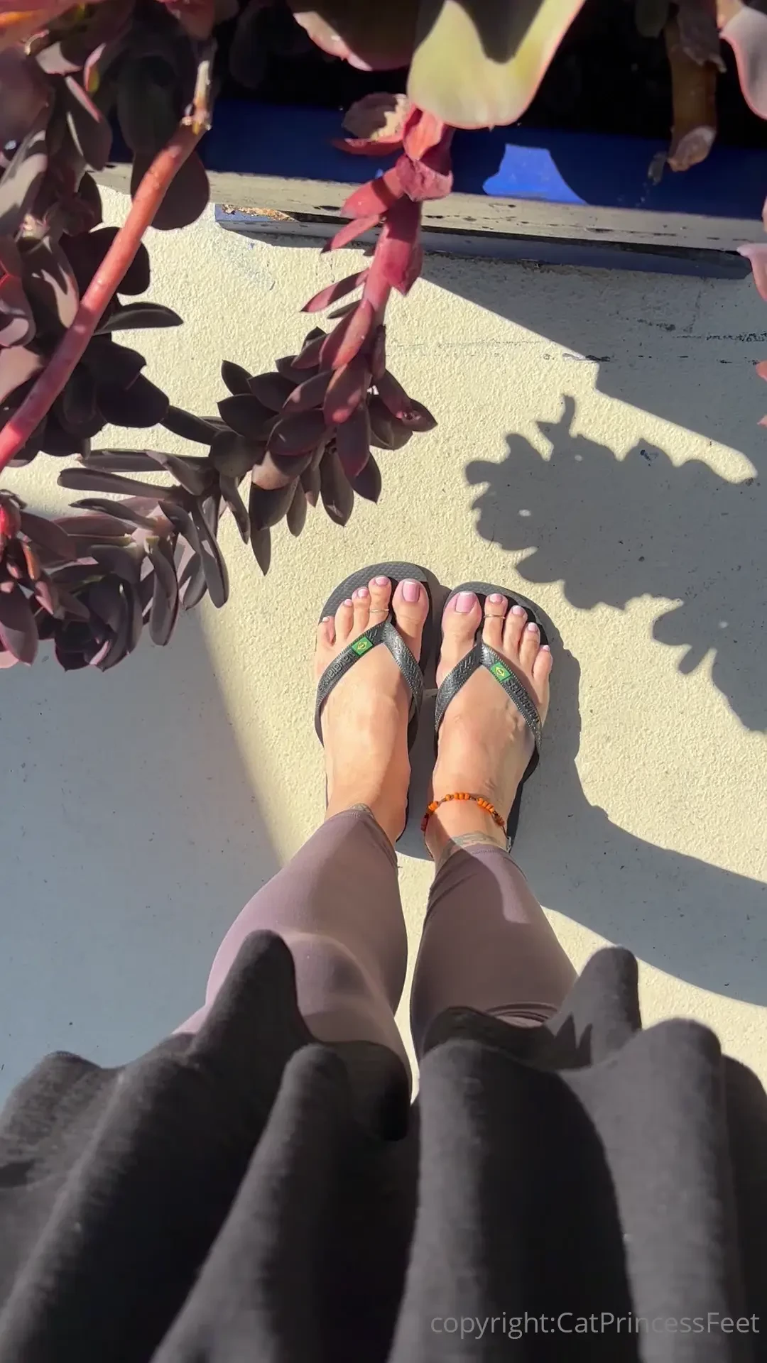 Bk im baaack 1 2 or 3 