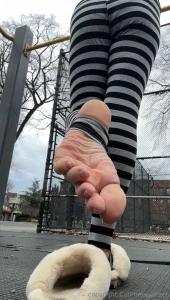 Sniff or stare