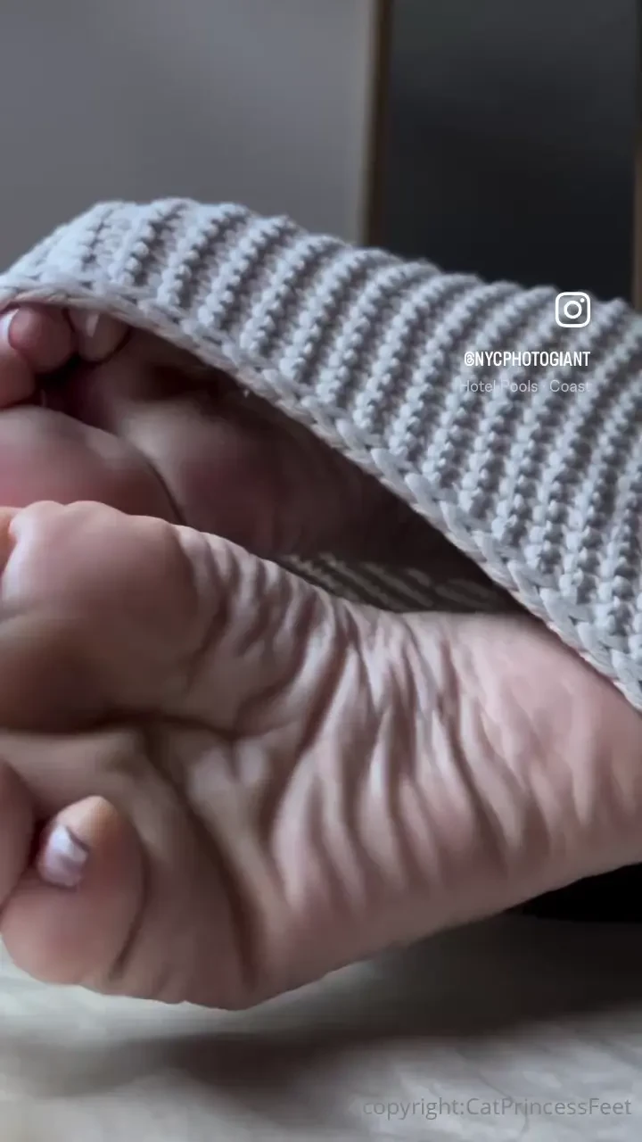 Rise to this part 81 