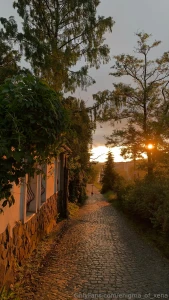 Architecture where every line breathes history symmetrical facades