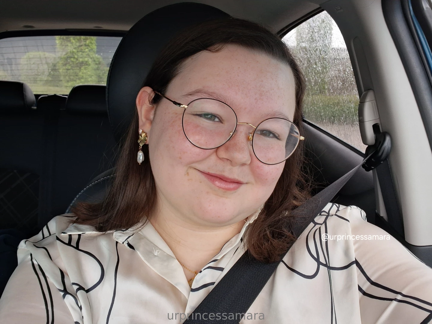 Passenger princess part 66 