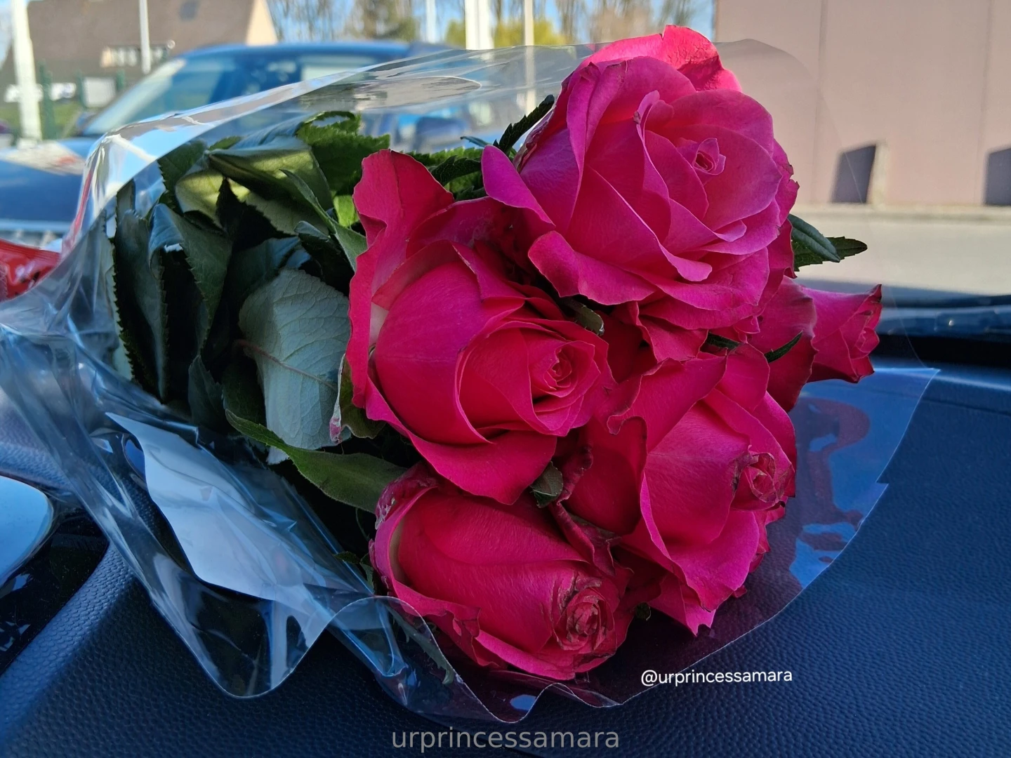 Surrounded by beauty just as i should be part 2 