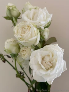 I m trying to learn how to take beautiful photos of plants and it s so