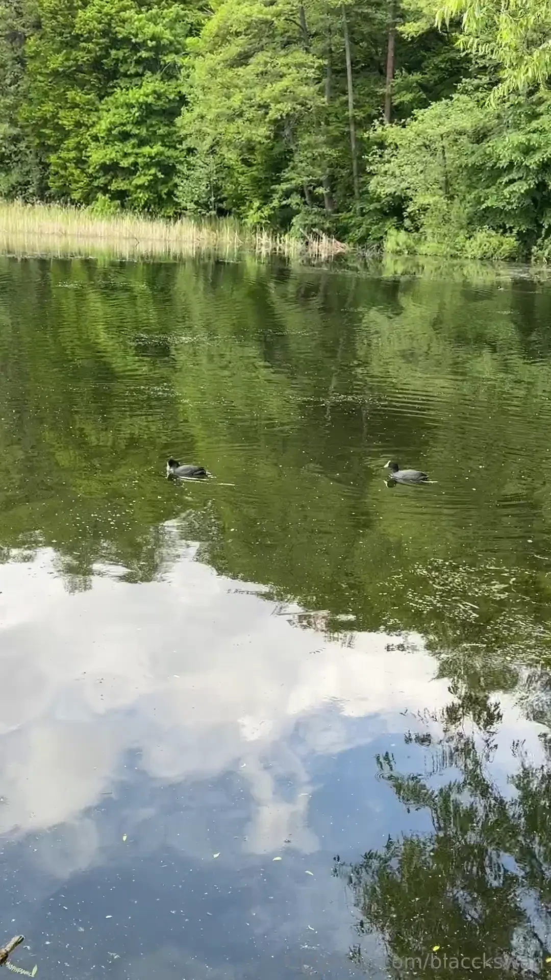 Today i went out of town and spent the day in nature - silence and 