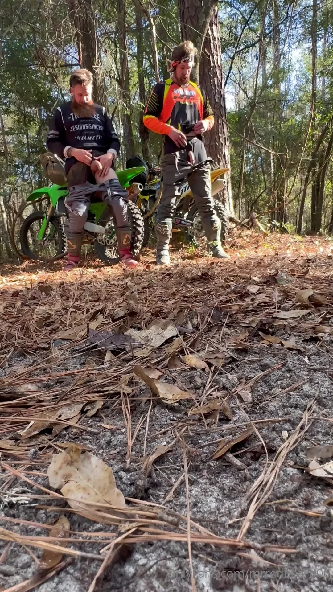 Wanna be in the woods with us 