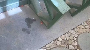 Sex maze part 3 exotic dreams resort palm springs california