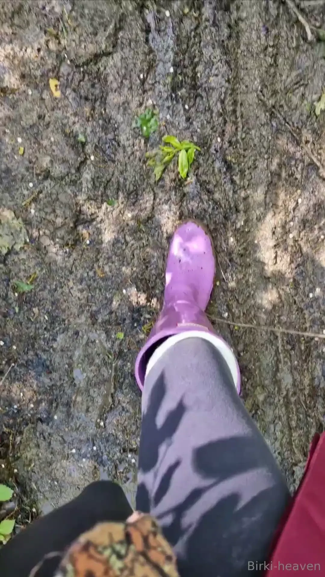 Eine kleine mediensammlung von meinem sonntagsspaziergang im matsch part 2 