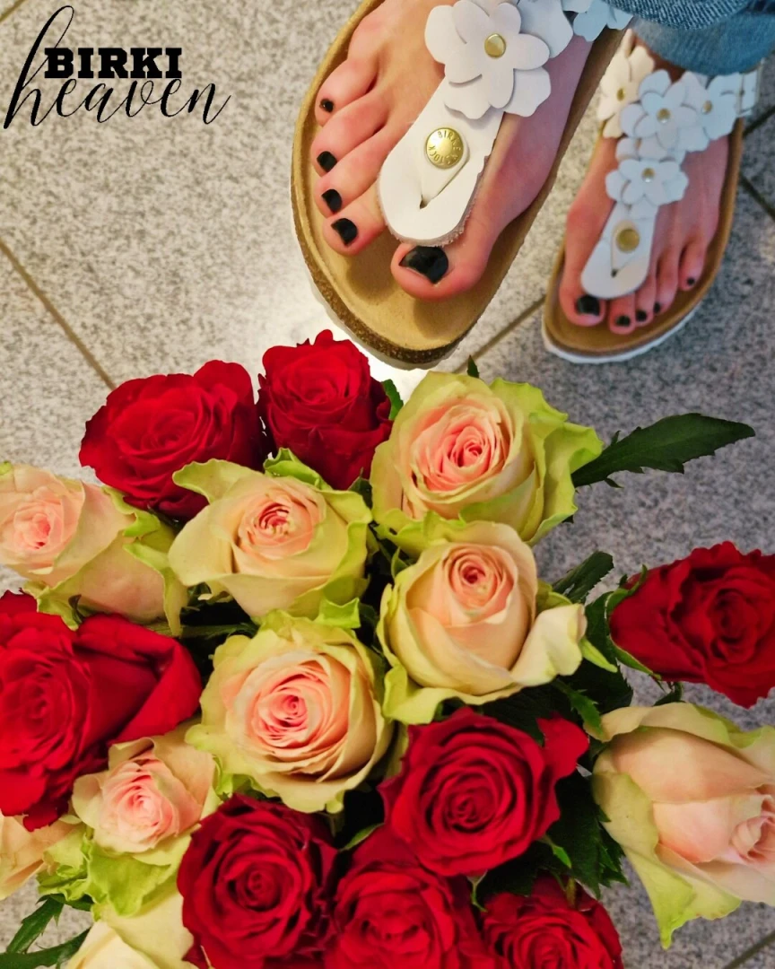 Roses for valentine s day last friday thank you so much birkihusband i part 2 