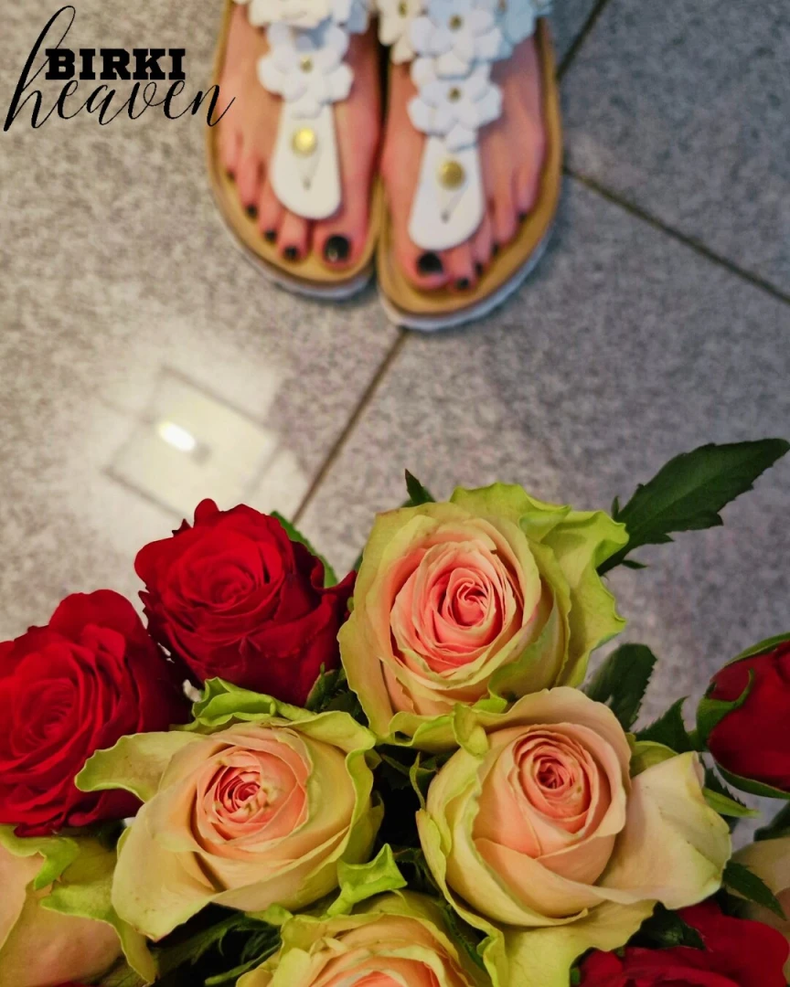 Roses for valentine s day last friday thank you so much birkihusband i part 3 