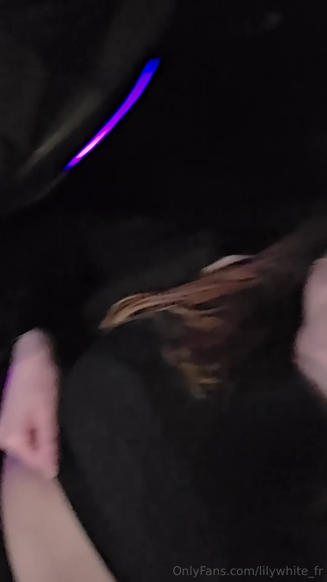 Do you wanna see my tits est ce que tu veux voir mes seins 