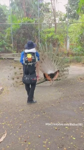 Me and two guy is my friends valerio20x detroyerr to have suck in the