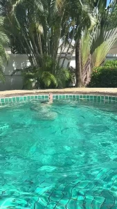 Here s some clips from my recent trip to thailand what s your favorite part 3