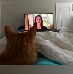 Well what else is there to watch give me some ideas