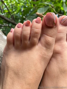 My new ped reveal here tell me about f you liked it please part 1