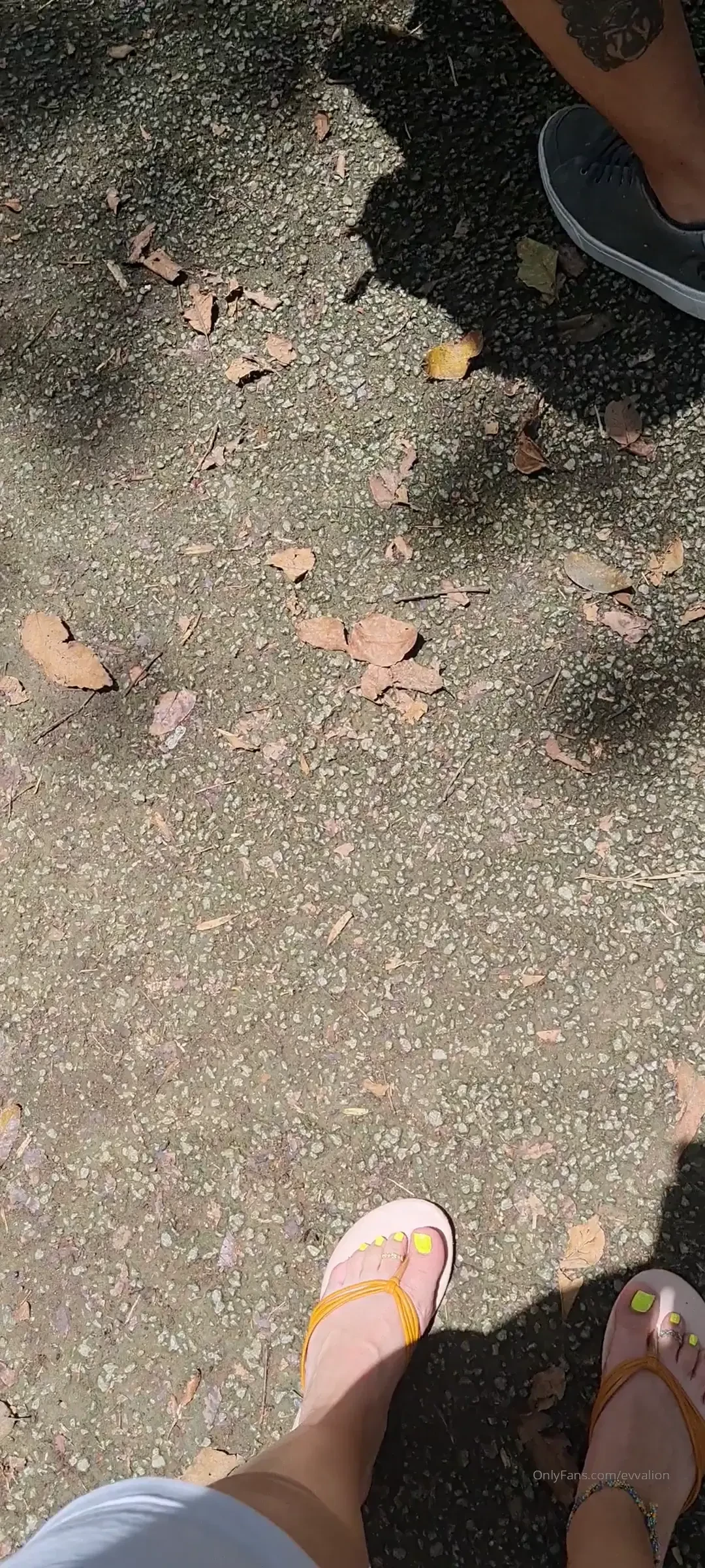 Recording day new content is coming 