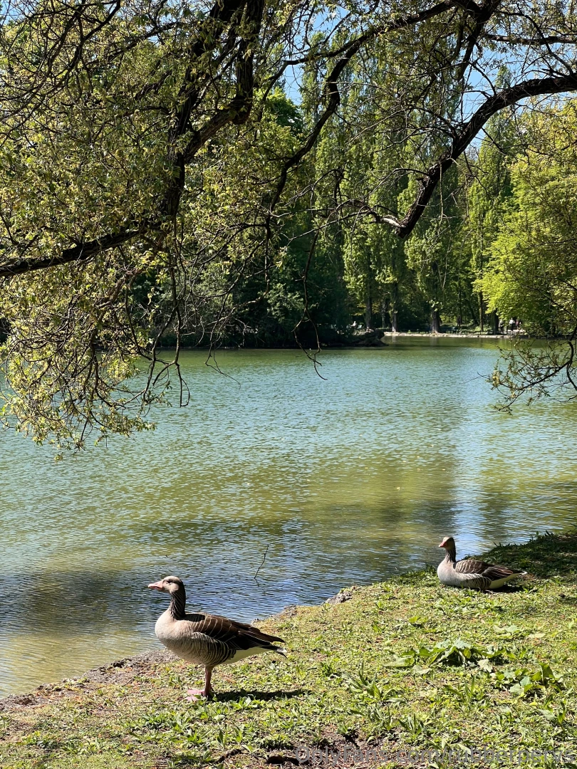 Hotelroom tour and casual in munich enjoying the sun and my life part 4 