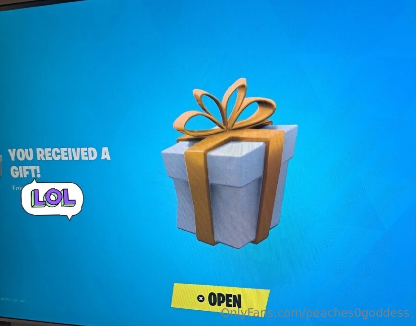 Fortnight gifts are cute 