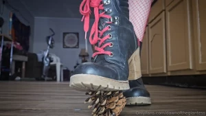 Stomping on a pinecone i love doing this when i m walking outside lol