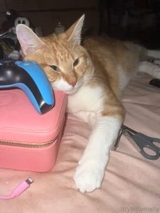 Here s a picture of my pussy now that i have your attention i ve been