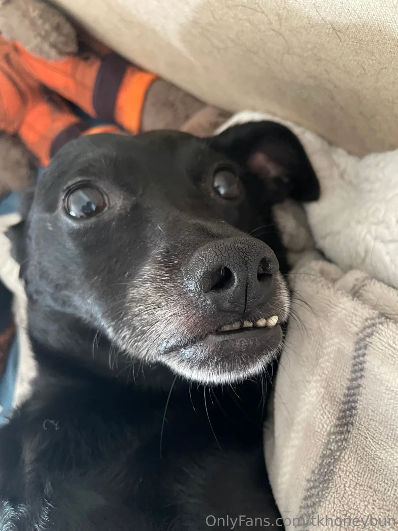 Ok i must share this today my sweet boi lost his tooth he has had an part 2 